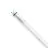 Philips Master Tubo LED T8 (EM/Mains) High Output T8 11.3W 2100lm - 865 Luce Del Giorno | 120cm - Sostitutiva 36W
